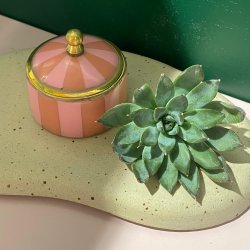 Lille cirkus smykkeske i rosa