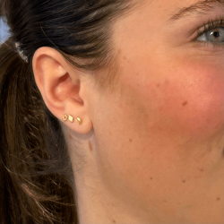 Mini harlekin rering 