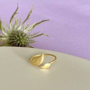 Spring Ring 